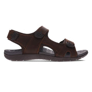 Vitasole Power Brown