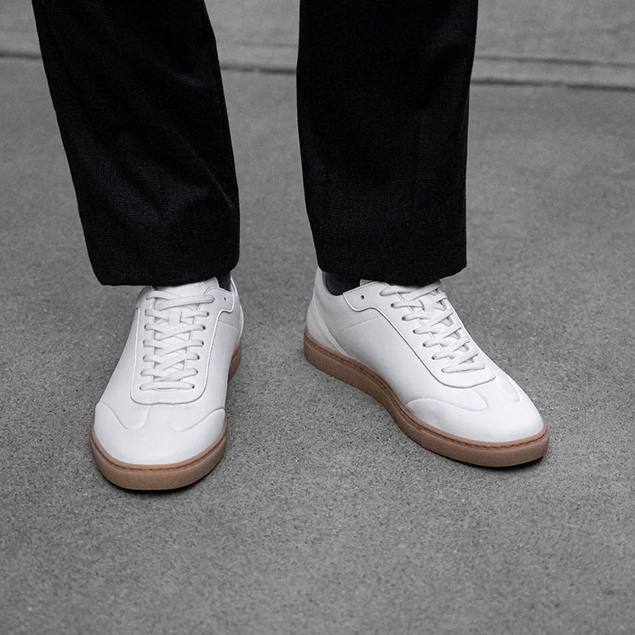 Amberjack The Atlas Ivory